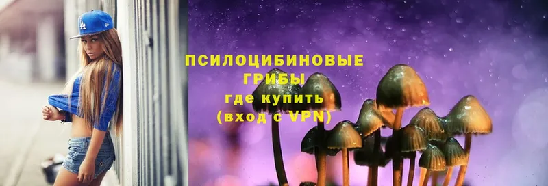 Псилоцибиновые грибы MAGIC MUSHROOMS  кракен ССЫЛКА  Озёры 